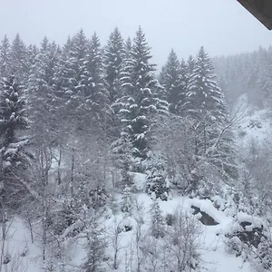La Tania 73120 , Courchevel France