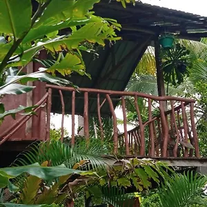 Sigiri Panaromic Tree House Сигирия